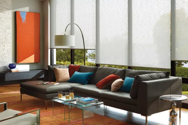 shade savvy shading and lighted mirrors